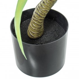 Pianta Decorativa Alexandra House Living Plastica Cassava 70 cm