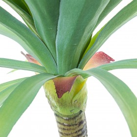 Pianta Decorativa Alexandra House Living Plastica Cassava 70 cm