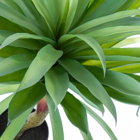 Pianta Decorativa Alexandra House Living Plastica Cassava 70 cm