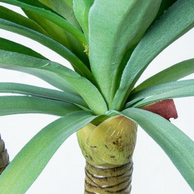 Pianta Decorativa Alexandra House Living Plastica Cassava 120 cm
