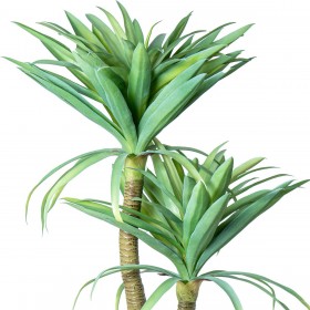 Pianta Decorativa Alexandra House Living Plastica Cassava 120 cm
