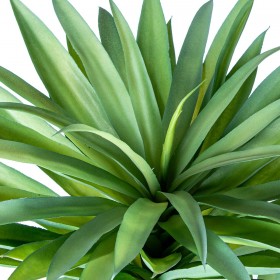 Pianta Decorativa Alexandra House Living Plastica Cassava 120 cm