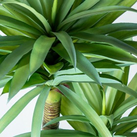 Pianta Decorativa Alexandra House Living Plastica Cassava 120 cm