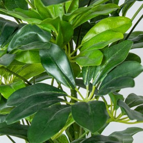 Pianta Decorativa Alexandra House Living Plastica Schefflera 90 cm
