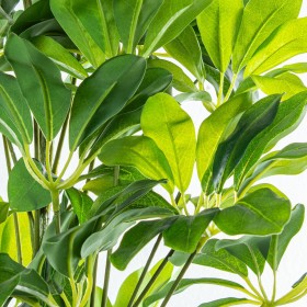 Pianta Decorativa Alexandra House Living Plastica Schefflera 155 cm