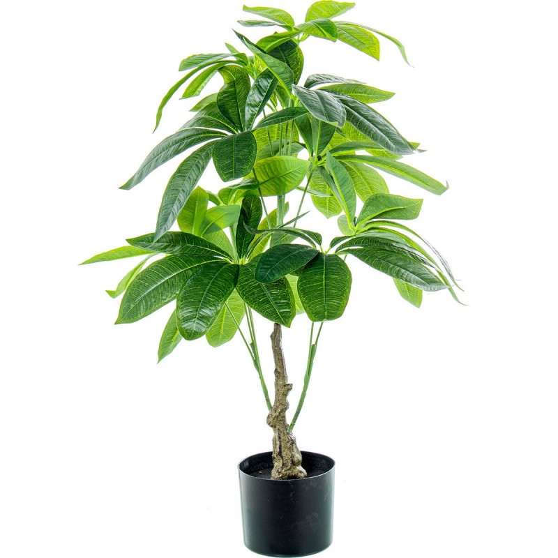 Pianta Decorativa Alexandra House Living Plastica Pachira acquatica 90 cm