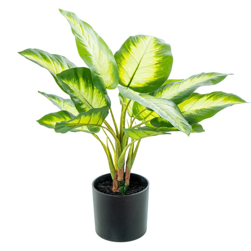 Pianta Decorativa Alexandra House Living Plastica Aglaonema 50 cm