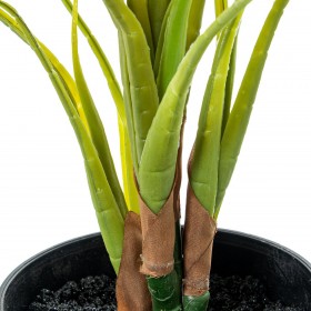 Pianta Decorativa Alexandra House Living Plastica Aglaonema 50 cm