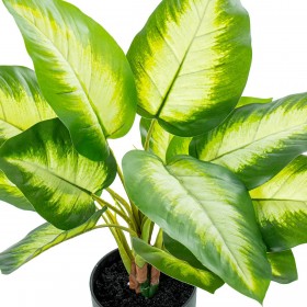 Pianta Decorativa Alexandra House Living Plastica Aglaonema 50 cm