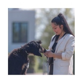 Collare per Cani Trixie CityStyle Nero L/XL 50-57 cm