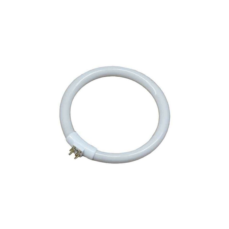 Tubo fluorescente EDM 00301 30287 Bianco 12 W T4 Ricambio Circolare (6500 K)