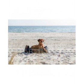 Collari da addestramento per cani Trixie Be Nordic Marrone L/XL 55 cm