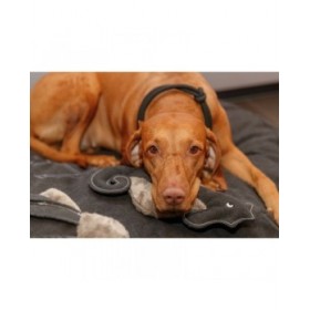 Collari da addestramento per cani Trixie Be Nordic Nero Sabbia L/XL 55 cm