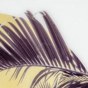 Tela Palma 100 x 2,5 x 100 cm Fogli