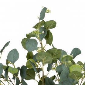 Pianta Decorativa 78 x 68 x 150 cm Verde PVC Eucalipto