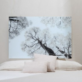 Tela Alberi 120 x 4 x 80 cm