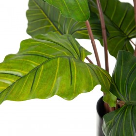 Pianta Decorativa PVC Ferro 130 cm