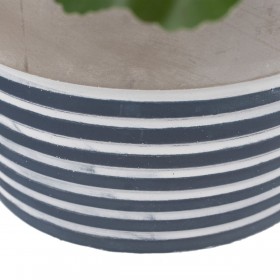 Pianta Decorativa Cemento PEVA Fogli 11,5 x 11,5 x 39 cm