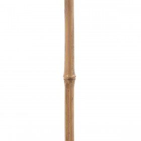 Ramo Bambù Rattan Foglio 30 x 2 x 200 cm