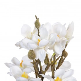 Mazzo Bianco Verde 37 x 20 x 41 cm Magnolia