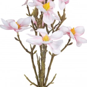 Mazzo Verde Rosa 37 x 20 x 41 cm Magnolia