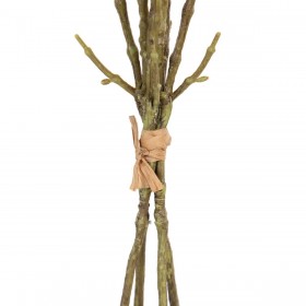 Mazzo Verde Rosa 37 x 20 x 41 cm Magnolia