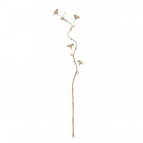 Ramo Beige Fiore 27 x 27 x 170 cm