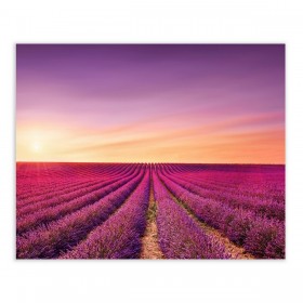 Quadro Multicolore 100 x 3 x 80 cm