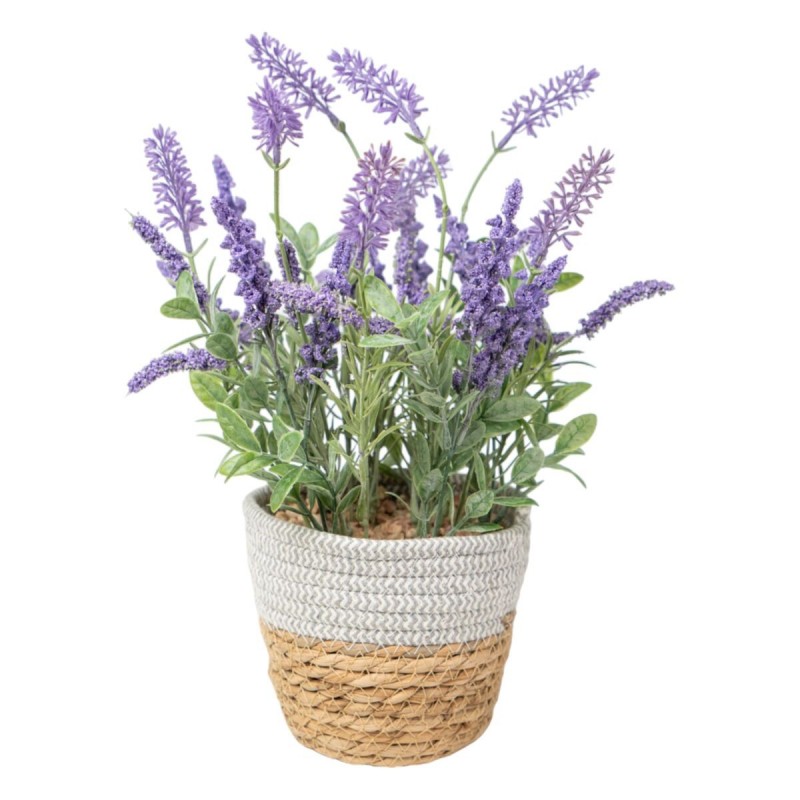 Pianta Decorativa Romimex Plastica Fibra Lavanda 15 x 38 x 15 cm