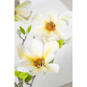 Fiori Decorativi Romimex Bianco Magnolia 70 x 150 x 60 cm