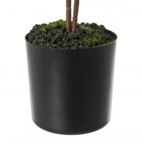 Pianta Decorativa Plastica 18 x 18 x 64 cm