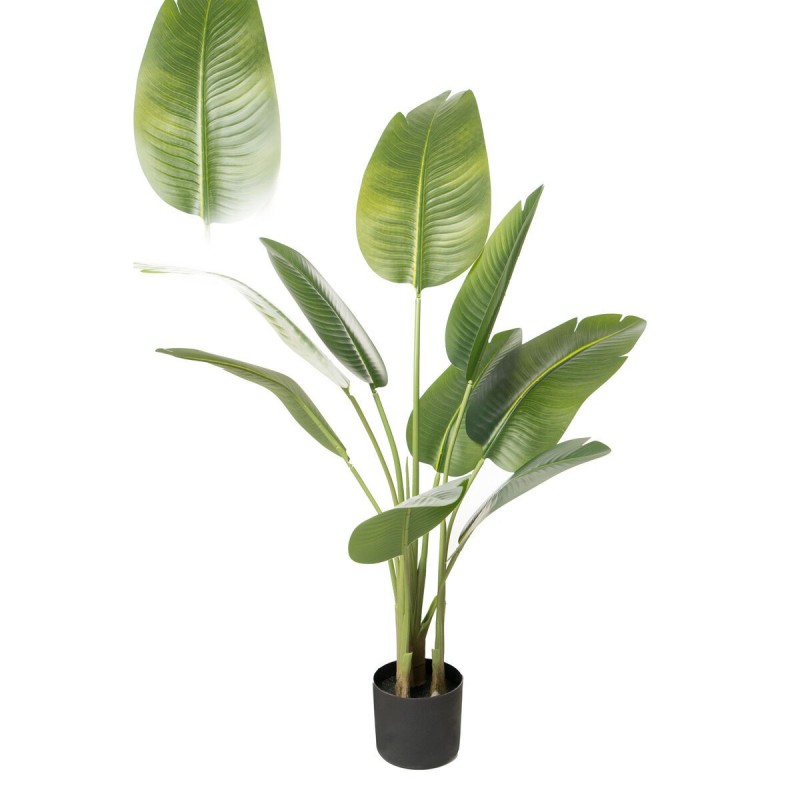 Pianta Decorativa Romimex Strelitzia Plastica 75 x 110 x 75 cm
