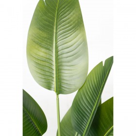 Pianta Decorativa Romimex Strelitzia Plastica 75 x 110 x 75 cm