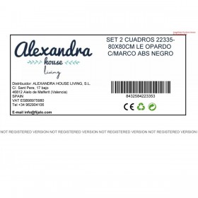 Set di 2 quadri Alexandra House Living Multicolore 80 x 80 x 3 cm