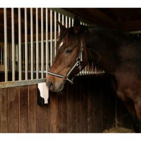 Abbigliamento per animali domestici Kerbl                                 Sì