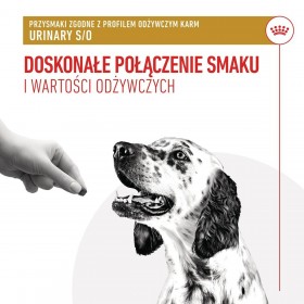 Snack per Cani Royal Canin Urinary S/O Treats 230 g