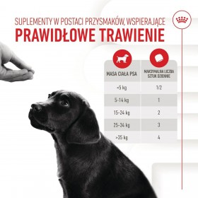 Snack per Cani Royal Canin Immunity & Digest Puppy 100 g
