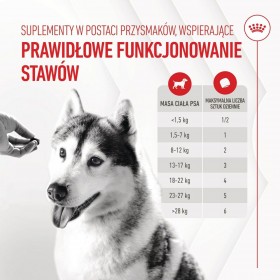 Snack per Cani Royal Canin Supplements Dog Joint & Ageing Adult 240 g