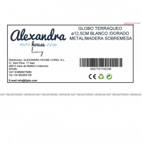 Mappamondo Alexandra House Living Multicolore Metallo 13 x 23 x 13 cm