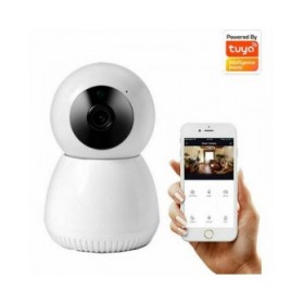 Fotocamera IP Denver Electronics IIC-215
