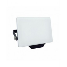 Faro Proiettore Silver Electronics 173302 G (Bianco Freddo)