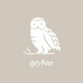 Copripiumino Harry Potter Magical Hedwig Multicolore 175 Fili 155 x 220 cm Singolo