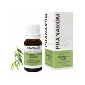 Olio Essenziale Pranarôm   Eucalipto 10 ml