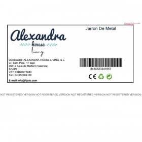 Vaso Alexandra House Living Ferro 27 x 36 x 27 cm