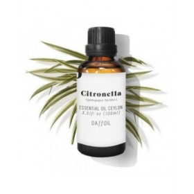 Olio Essenziale Citronella Daffoil DAFFOIL 100 ml