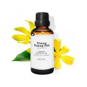 Olio Essenziale Daffoil Aceite Esencial 100 ml