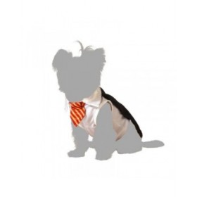 Costume per Cane Taglia S Mago