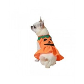 Costume per Cane Zucca Taglia L