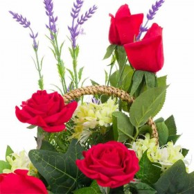 Fiori Decorativi Alexandra House Living Multicolore 26 x 44 x 26 cm
