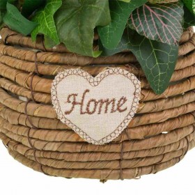 Fiori Decorativi Alexandra House Living Multicolore 25 x 36 x 31 cm